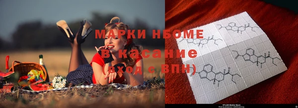 PSILOCYBIN Бородино