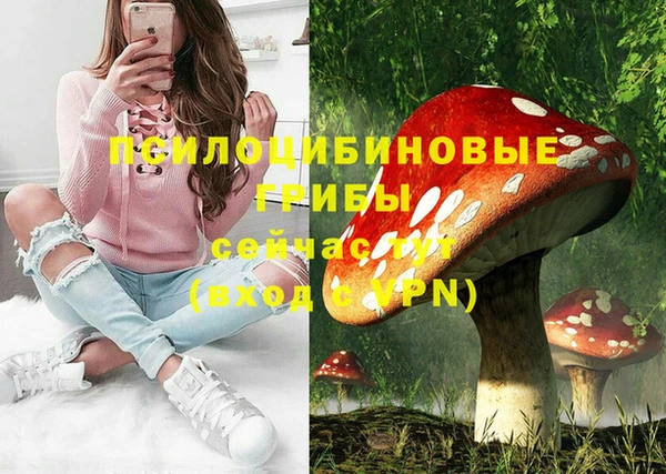 PSILOCYBIN Бородино