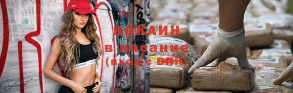 PSILOCYBIN Бородино