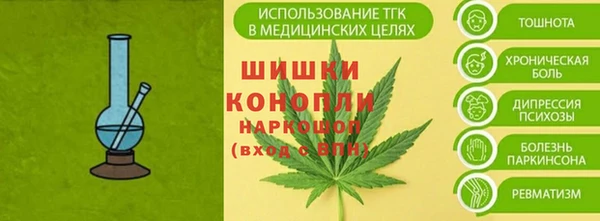 PSILOCYBIN Бородино