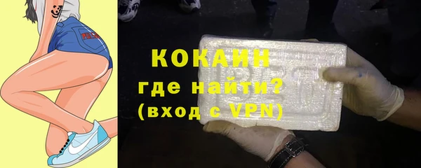 PSILOCYBIN Бородино