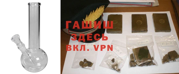 PSILOCYBIN Бородино