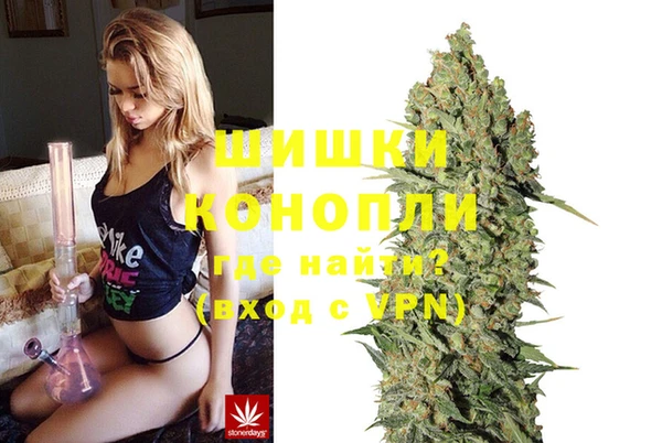 спиды Бронницы