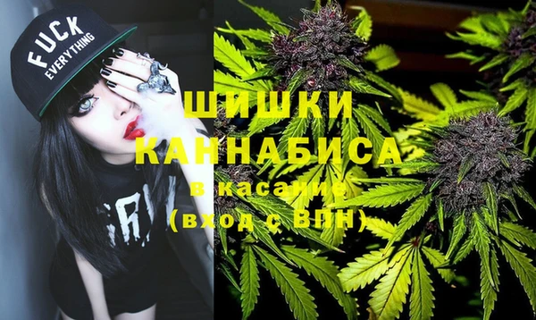 PSILOCYBIN Бородино