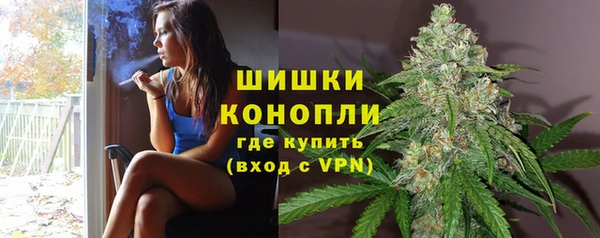 спиды Бронницы