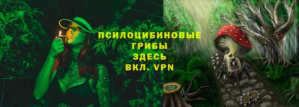 спиды Бронницы