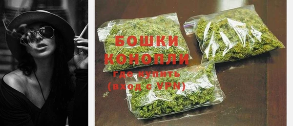 PSILOCYBIN Бородино