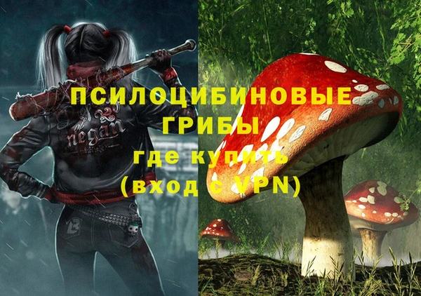 спиды Бронницы