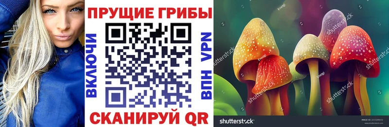 Галлюциногенные грибы мицелий  как найти   Конаково 